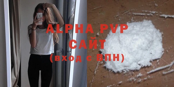 сатива Верея