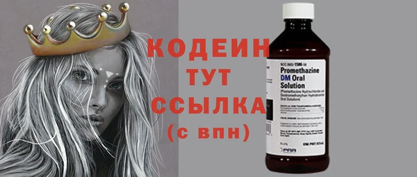 сатива Верея