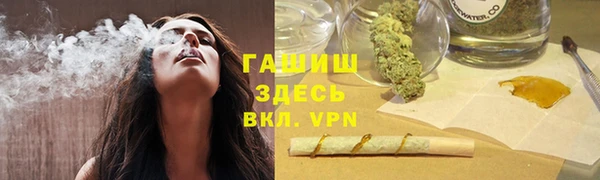 сатива Верея
