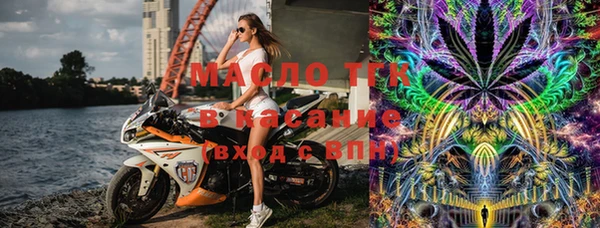 сатива Верея