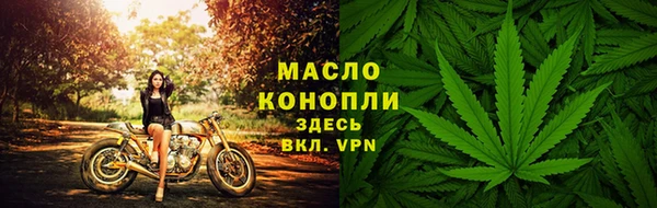 сатива Верея