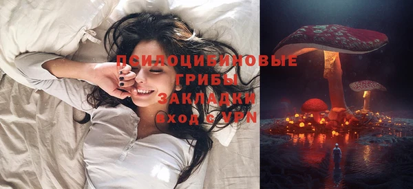 сатива Верея