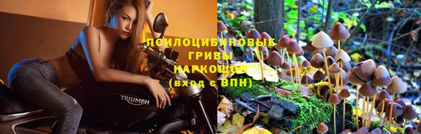 сатива Верея