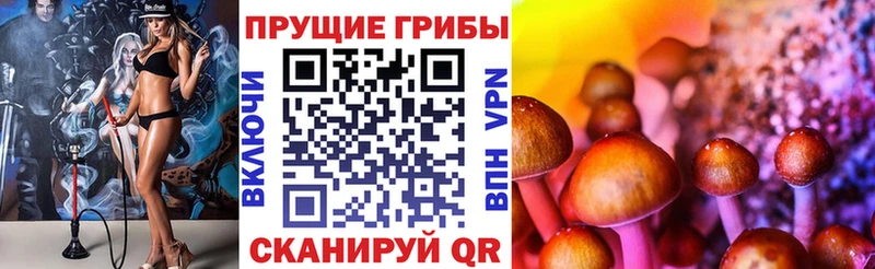 Псилоцибиновые грибы Psilocybine cubensis  KRAKEN ТОР  Старый Оскол 